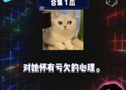 娱乐八卦吃瓜阵地,揭秘“吃瓜”背后的娱乐八卦阵地