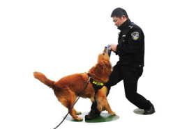 缉毒犬,缉毒犬的英勇历程与忠诚守护