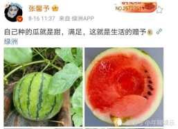 娱乐圈最近有什么瓜可以吃,揭秘2025年爆笑、泪点、悬疑大瓜！