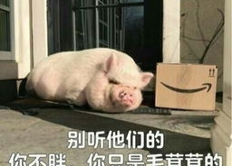 娱乐吃瓜酱猪猪视频,揭秘热门视频背后的趣味故事