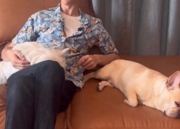“围剿”B站_赵悦_视频_品牌及盘货近来的文娱圈4个瓜：胡歌江疏影再续前缘钟嘉欣怀第三胎及伊能静正在凌晨三点发90分钟监控视频锤秦昊吃瓜公共连夜扒细节及自爆“大瓜”都无人正在意过气明星的惨赵樱子再现的