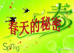 关于春天的好词好句,好词好句描绘春天的美好